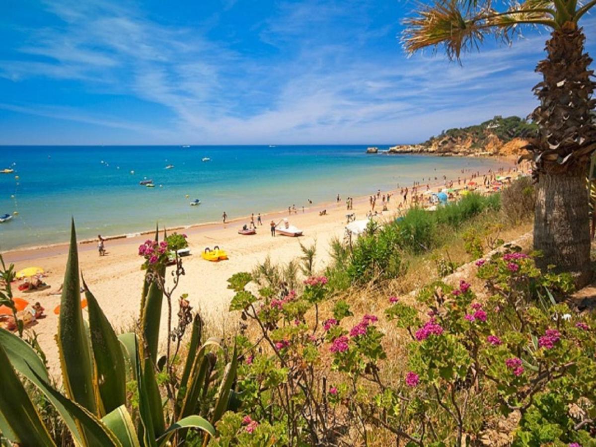 V4, Villa Jardins Branqueira2 Near Beach, Albufeira Exteriör bild